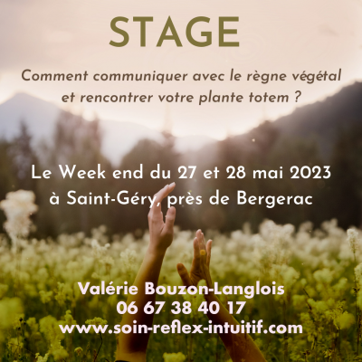 Image stage
