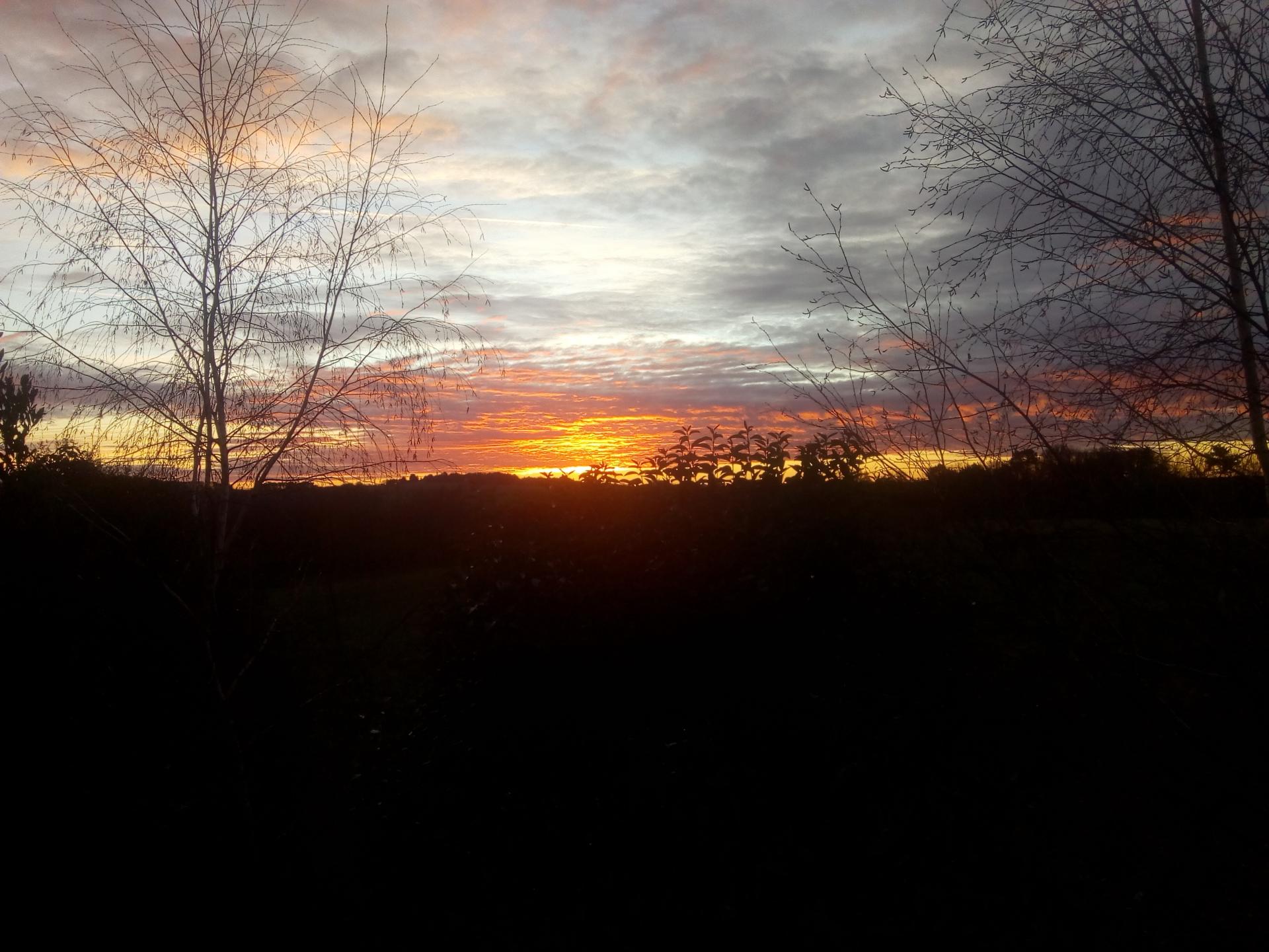 Photos decembre janvier2019 099