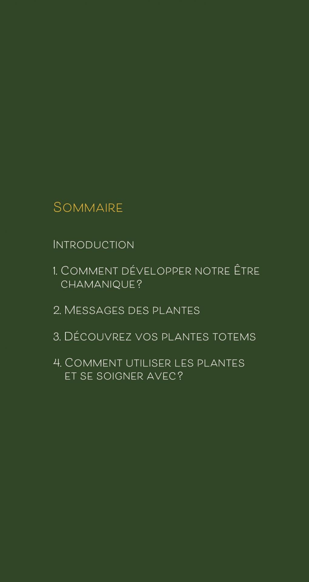 Sommaire du livre